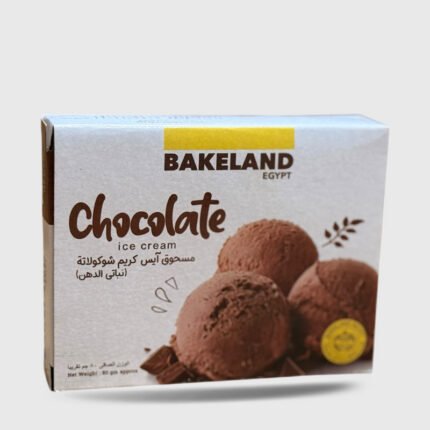 Bakeland Ice Cream Chocolate Powder - 80 Gr