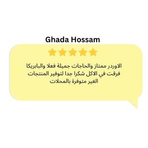 Review 3